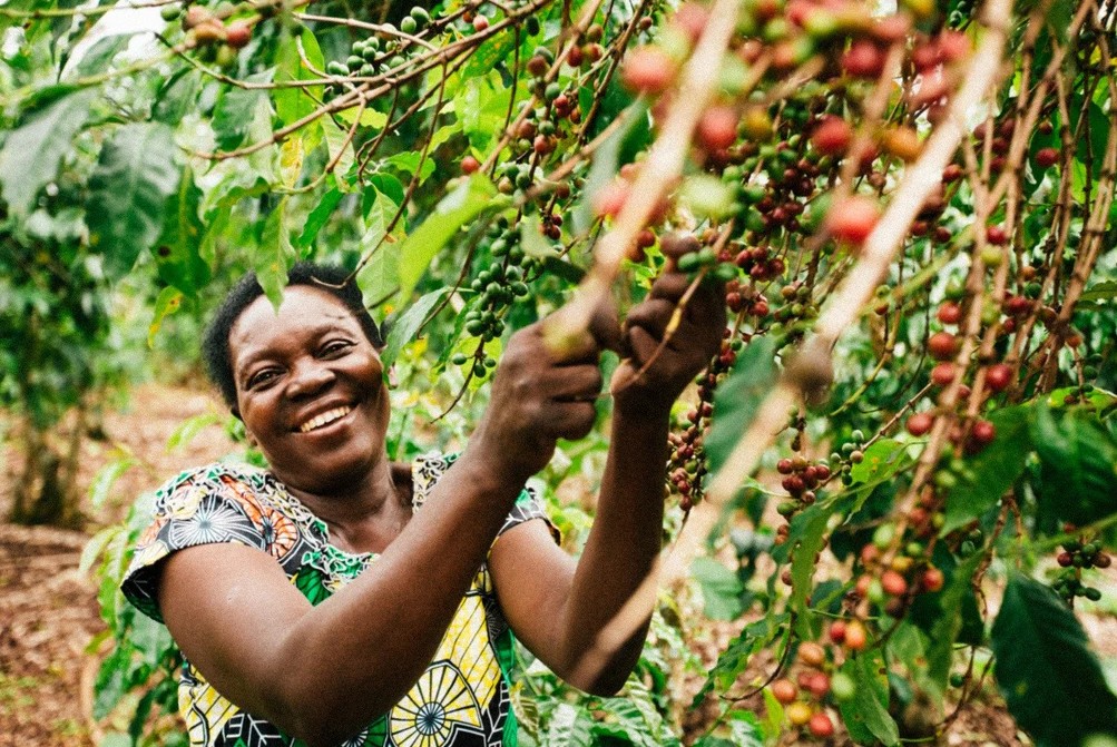 Women's Coffee Cooperative Launch